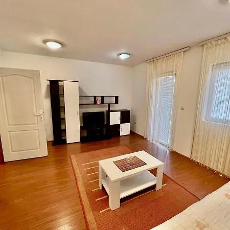 Daire Dva Apartmana Djordjevic Soko Banja