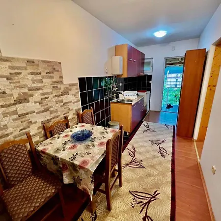 Daire Dva Apartmana Djordjevic Soko Banja