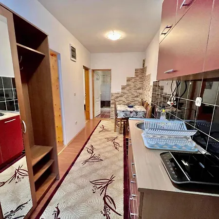 Dva Apartmana Djordjevic * Soko Banja