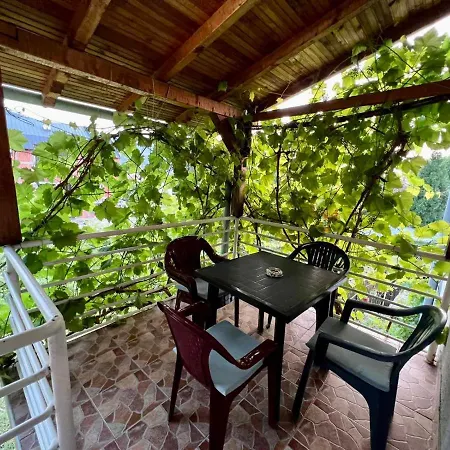 Dva Apartmana Djordjevic Soko Banja