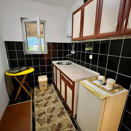 Dva Apartmana Djordjevic