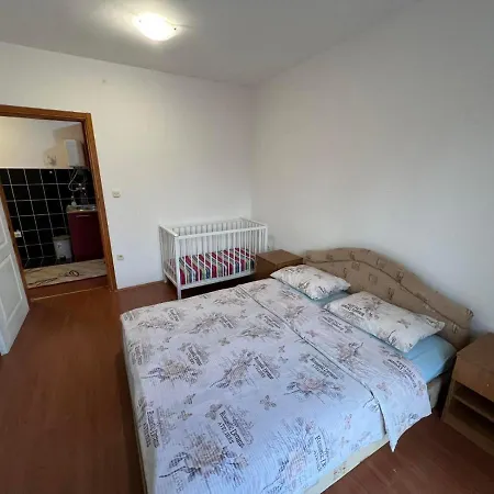 Dva Apartmana Djordjevic Soko Banja
