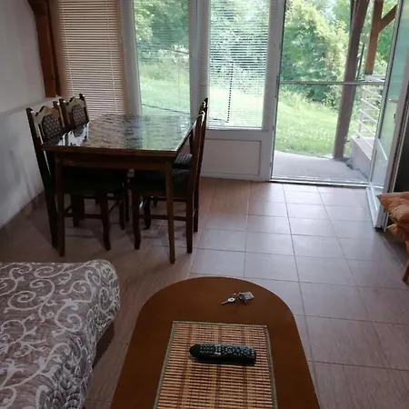 Dva Apartmana Djordjevic Daire